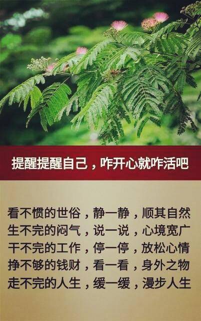 做人,心境宽广,放松心情一切顺其自然人的生命只有一次,要好好的活