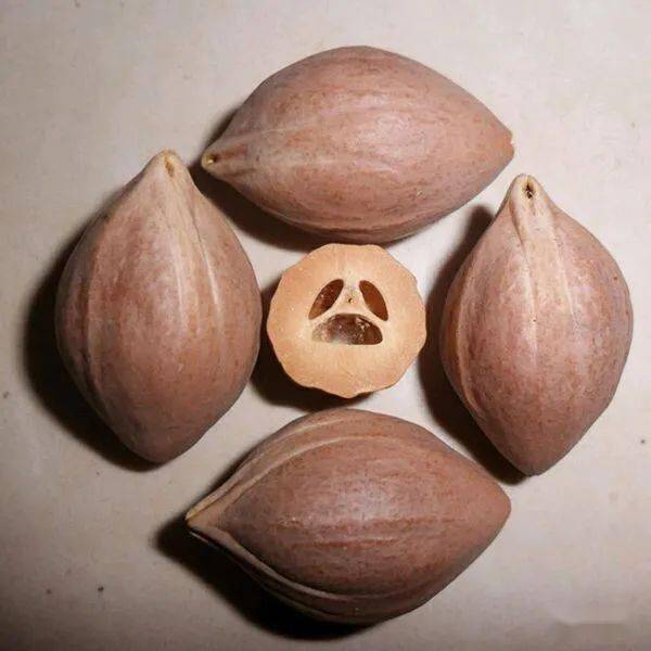 四花核真的比三花核好吗？