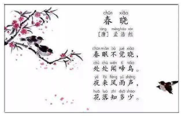 八月十四是谁的诞辰 f3399824a016405c884fafc2df646da3.jpeg
