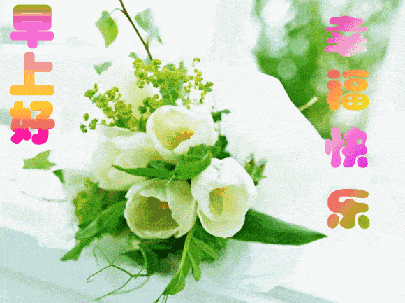 6月6日最漂亮早上好动态表情图片大全,早晨好动图美图