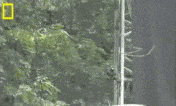 美女张开腿的瞬间竟险被雷劈!