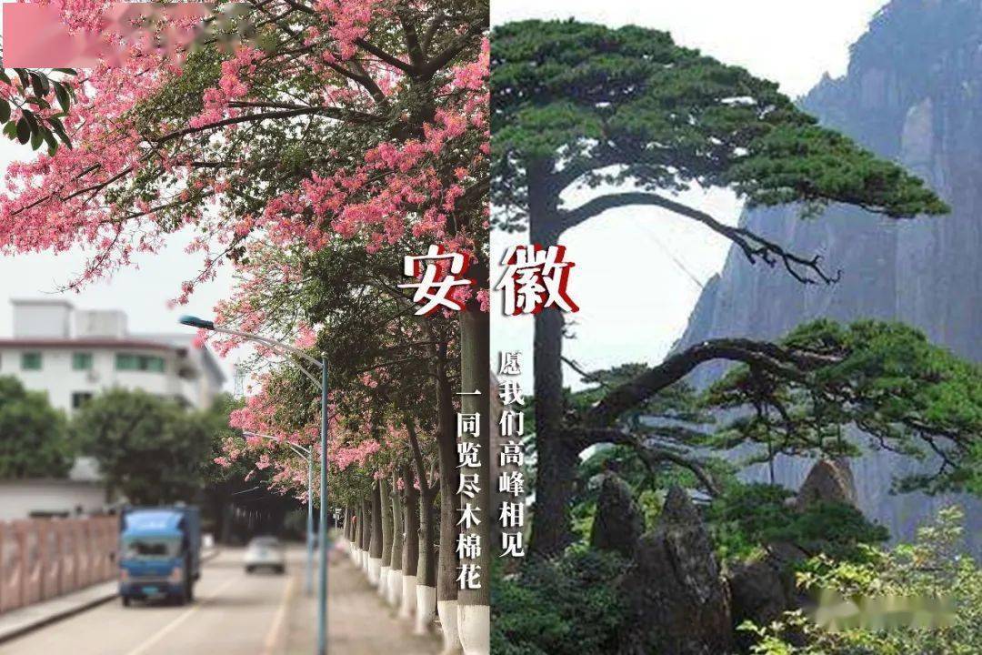林世泉|梦想不延时华师在等你