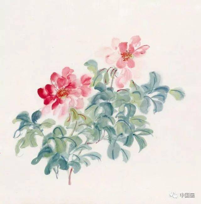 中国画芍药花丨张大千绘67676767美哉点赞