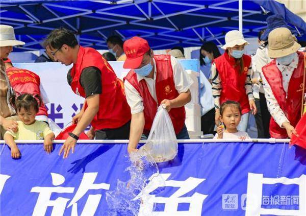 鱼苗|11.9万尾苗种回归大海！东营市民现场放鱼热情高涨