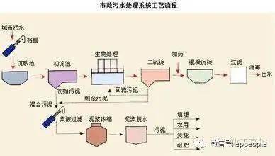ae0976b36e9145c3af76805e7384ecf7.jpeg