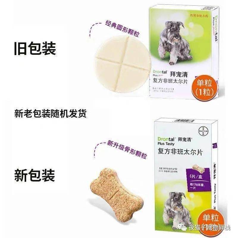 洗澡后可以体外驱虫吗 f4ca380504dc4b9c8d49df3e06a06a67.jpeg