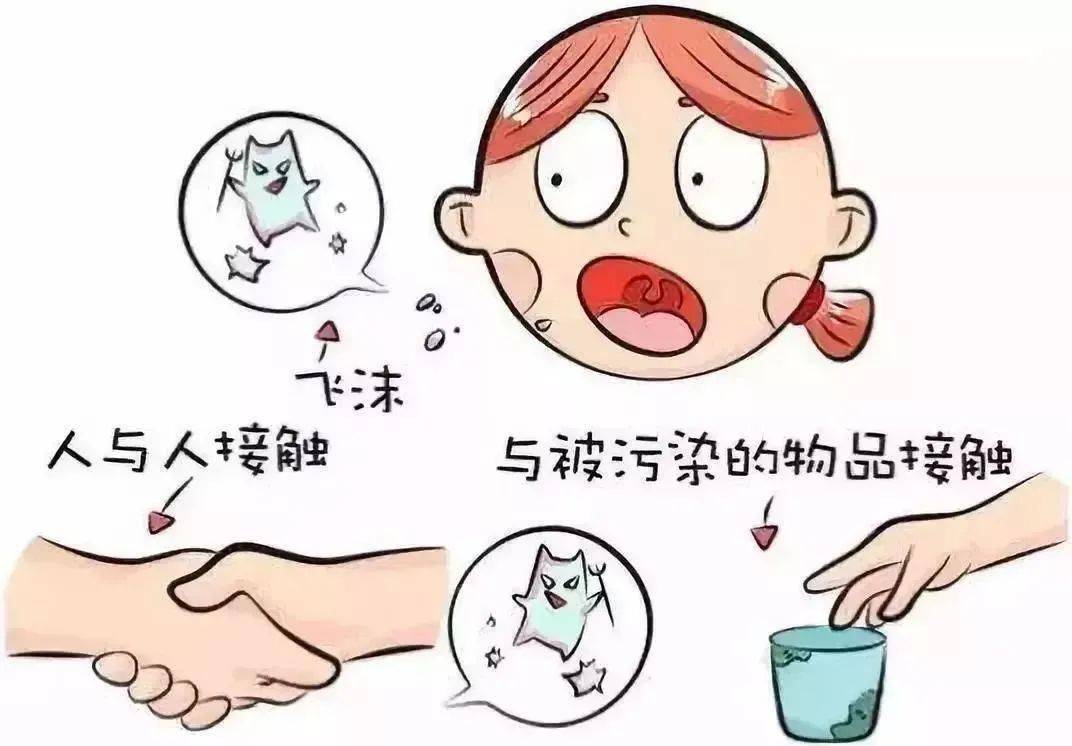 现在感冒是什么类型感冒传染 05447fb174ee4517a59b73b023eb80ca.jpeg