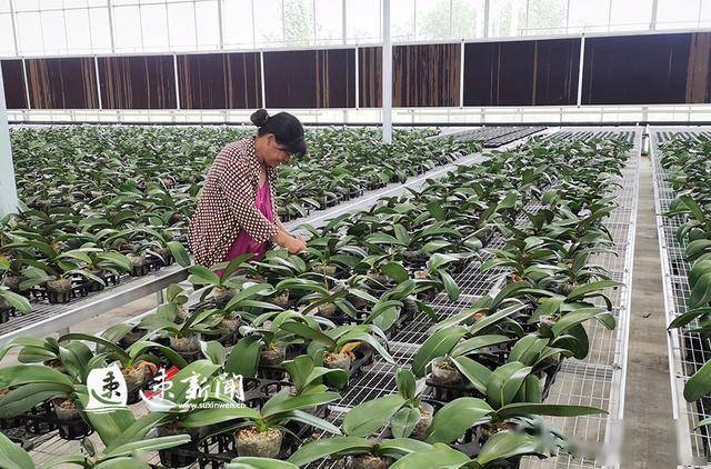 沭阳县哪个镇人口最多_沭阳县高墟镇王建(3)