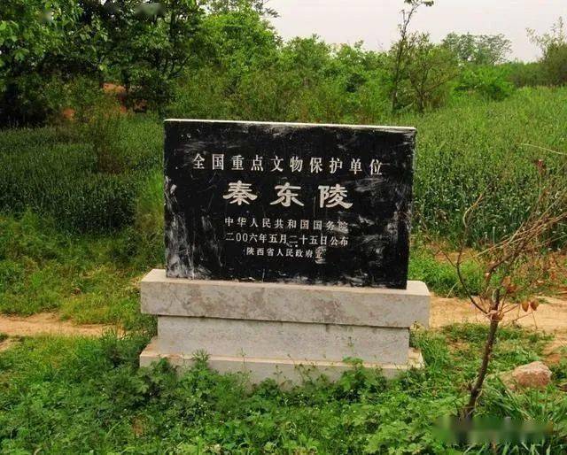 坟墓猜一成语_一图一成语猜答案大全(3)