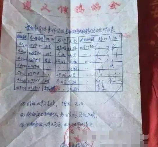 云南83岁前辈生活清贫坚持不卖千公里冠军血脉