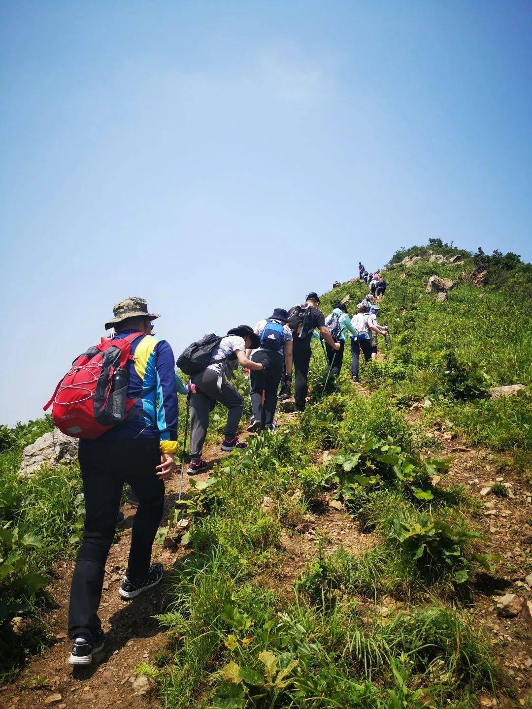 60周年院庆系列活动 | 一次登山,让我们"向上攀登"的