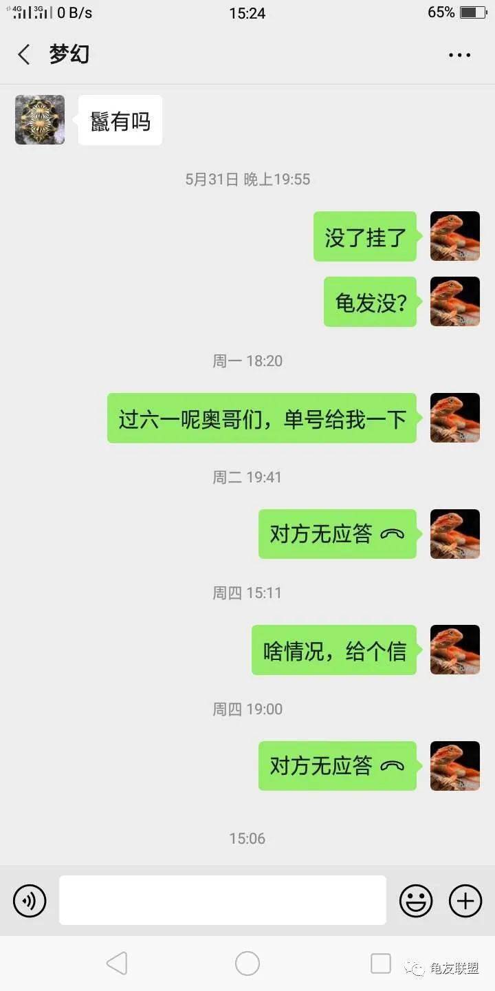 43ccb95253e34213a67ba31da6ce21bf.jpeg