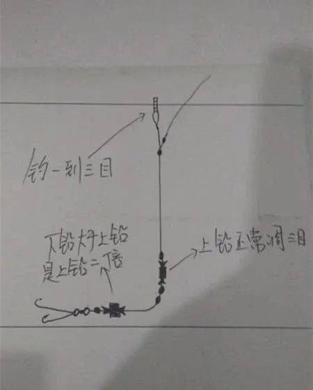 台钓双铅线组的调钓见解分享