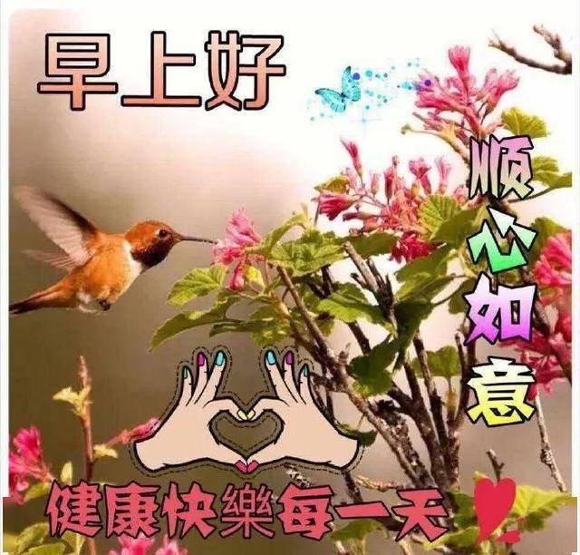 惟有朋友,始终陪在左右,祝快乐每一天,早安朋友