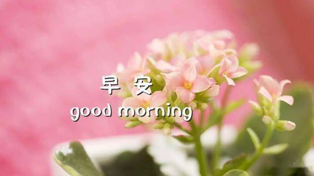 eecfa0cb8c9c4e3499aa757a7e727605.jpeg
