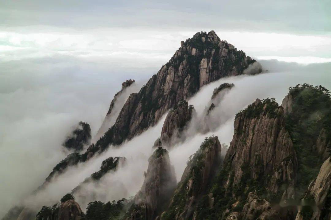 夏天的风,吹来了金色的黄山云海