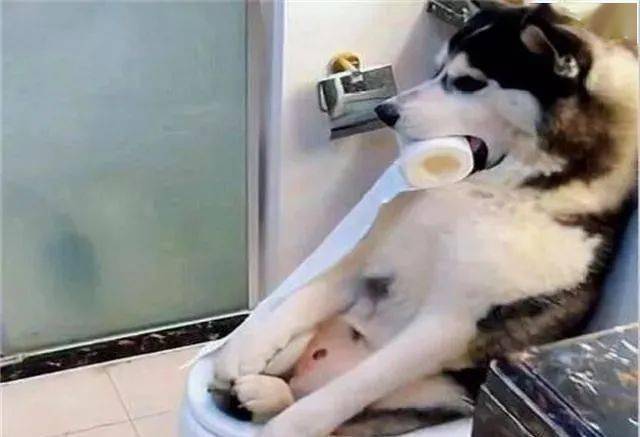 扶墙走是啥意思 627eabfab5114f6a80d2015c34062e98.jpeg