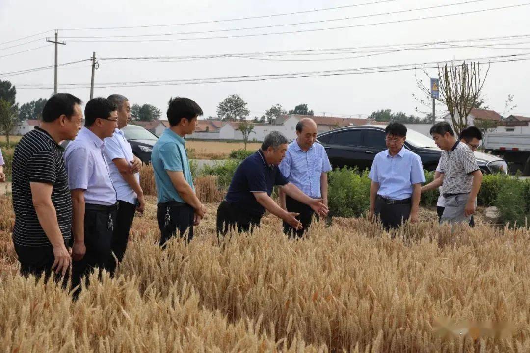 山东省农业农村厅农机化管理处处长,一级调研员蒋景春