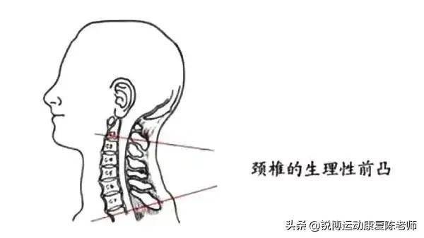 a1e2473e47bd49e5be96c57be73f1914.jpeg