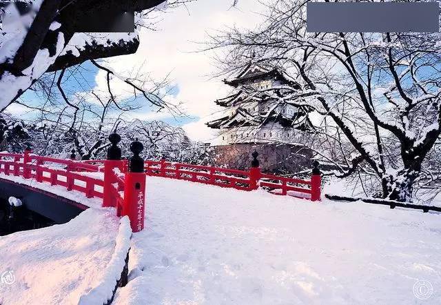 飘落在寺庙里的雪,美得出尘!