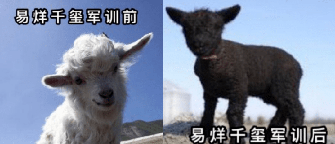 4890fbcc19f8449b9ea47a8aaec308de.png
