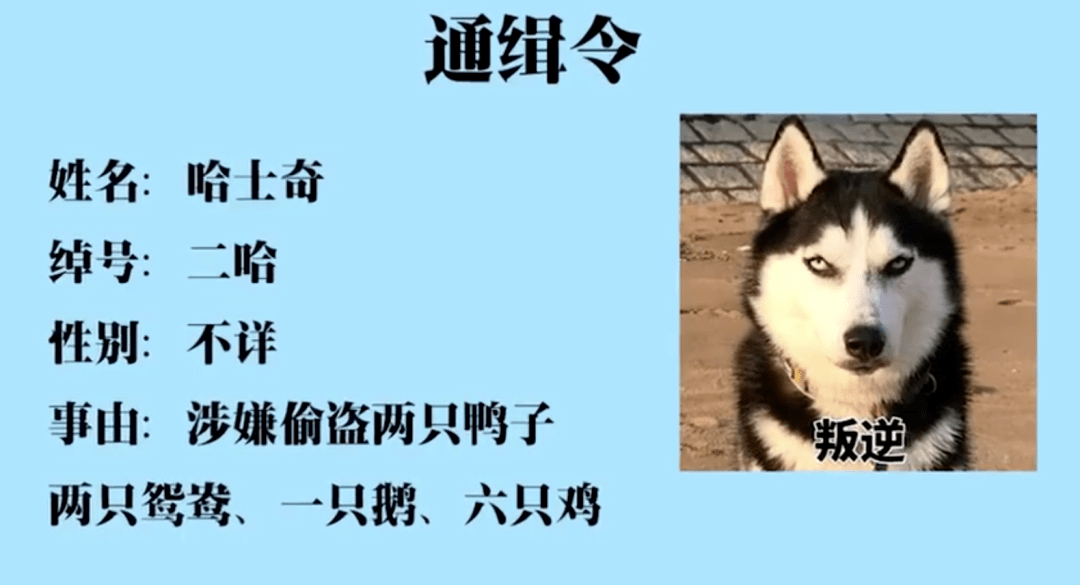 84199d084518493582665bfc5ff00909.png