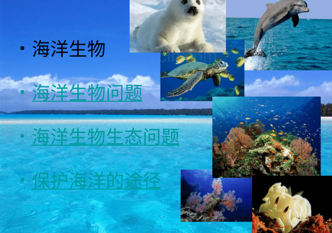 一,海洋知识我知道