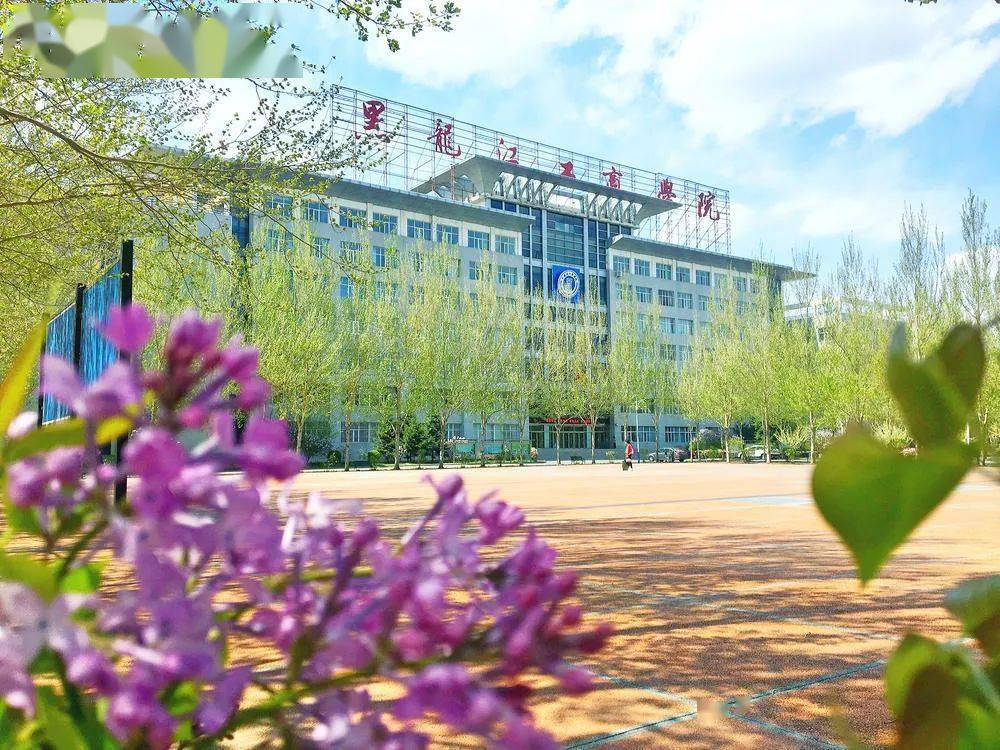黑龙江工商学院2020招生季·预热 | "相识 相知 相荐