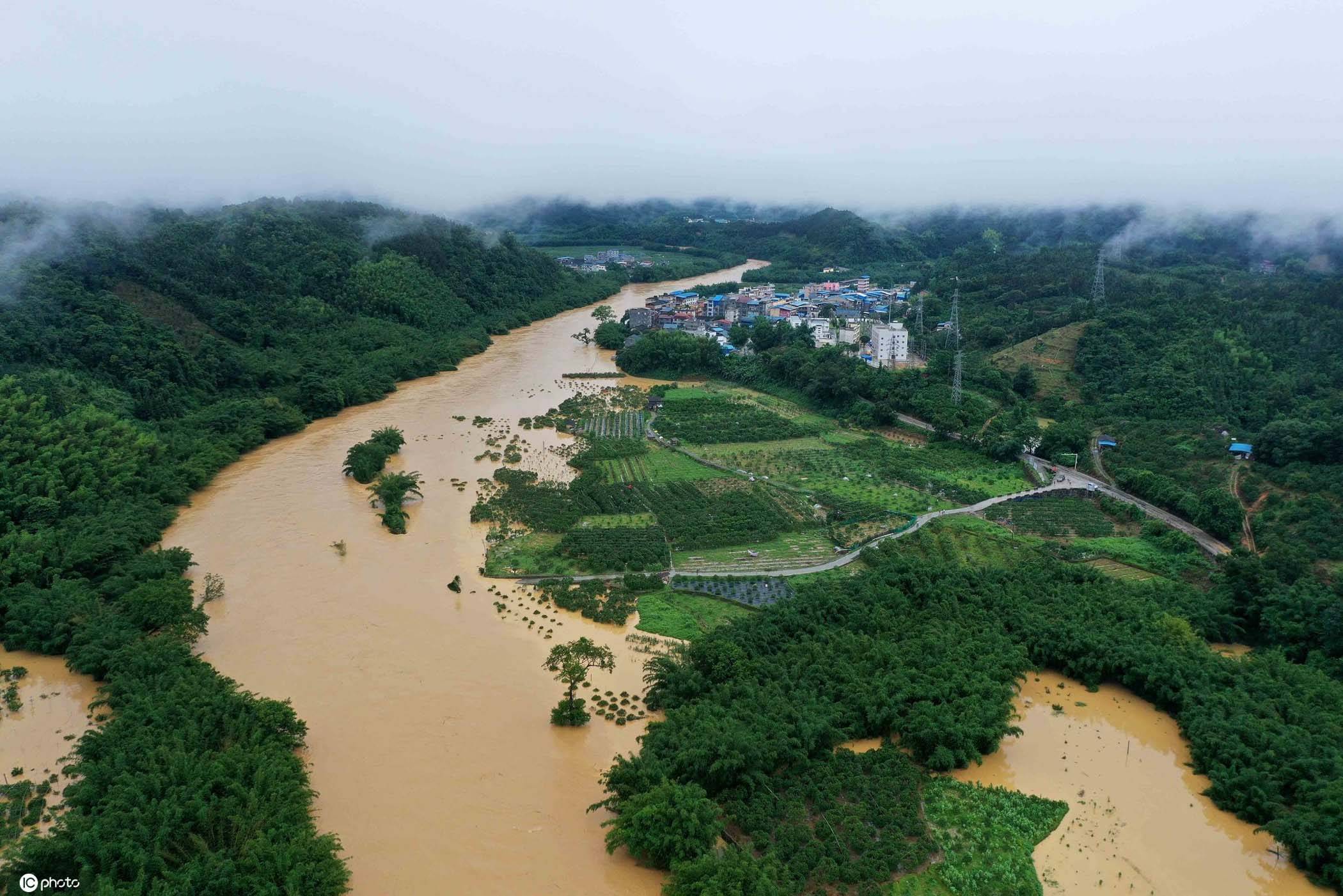 广西融安普降大暴雨多条道路中断农作物被洪水淹没