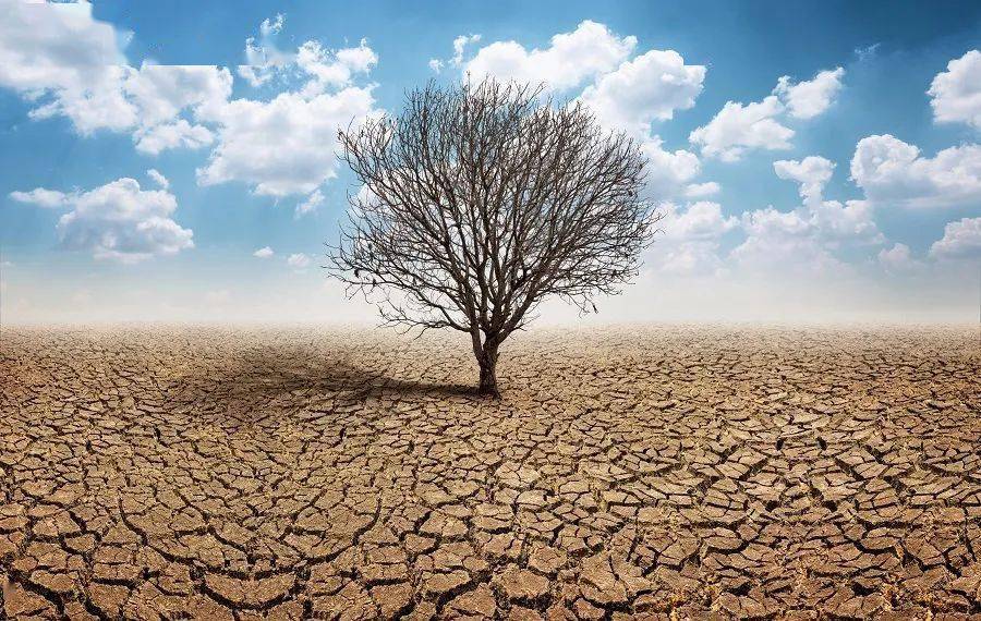 南方多地现"看海模式",绕不开的全球变暖问题
