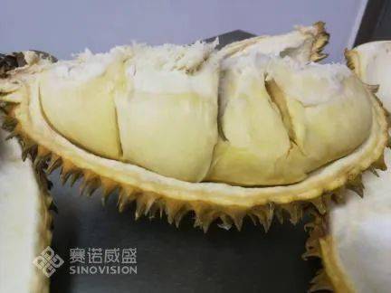 怎么样挑榴莲才知道生与熟 ee259b5818f54732a566d35209ef2dba.jpeg