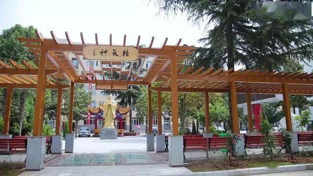 2020年中招一模考试_参考丨郑州部分初中2020年中考成绩和新初三一模考