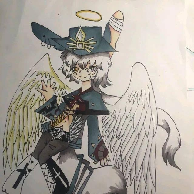 16 name : 爱读书的一只猫 age:11 心得:六年级小学生一枚,喜欢画兽设