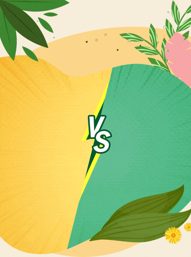 640_861 竖版 竖屏