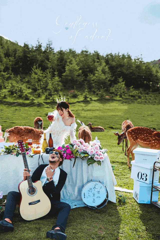 森林日光系列 | 一