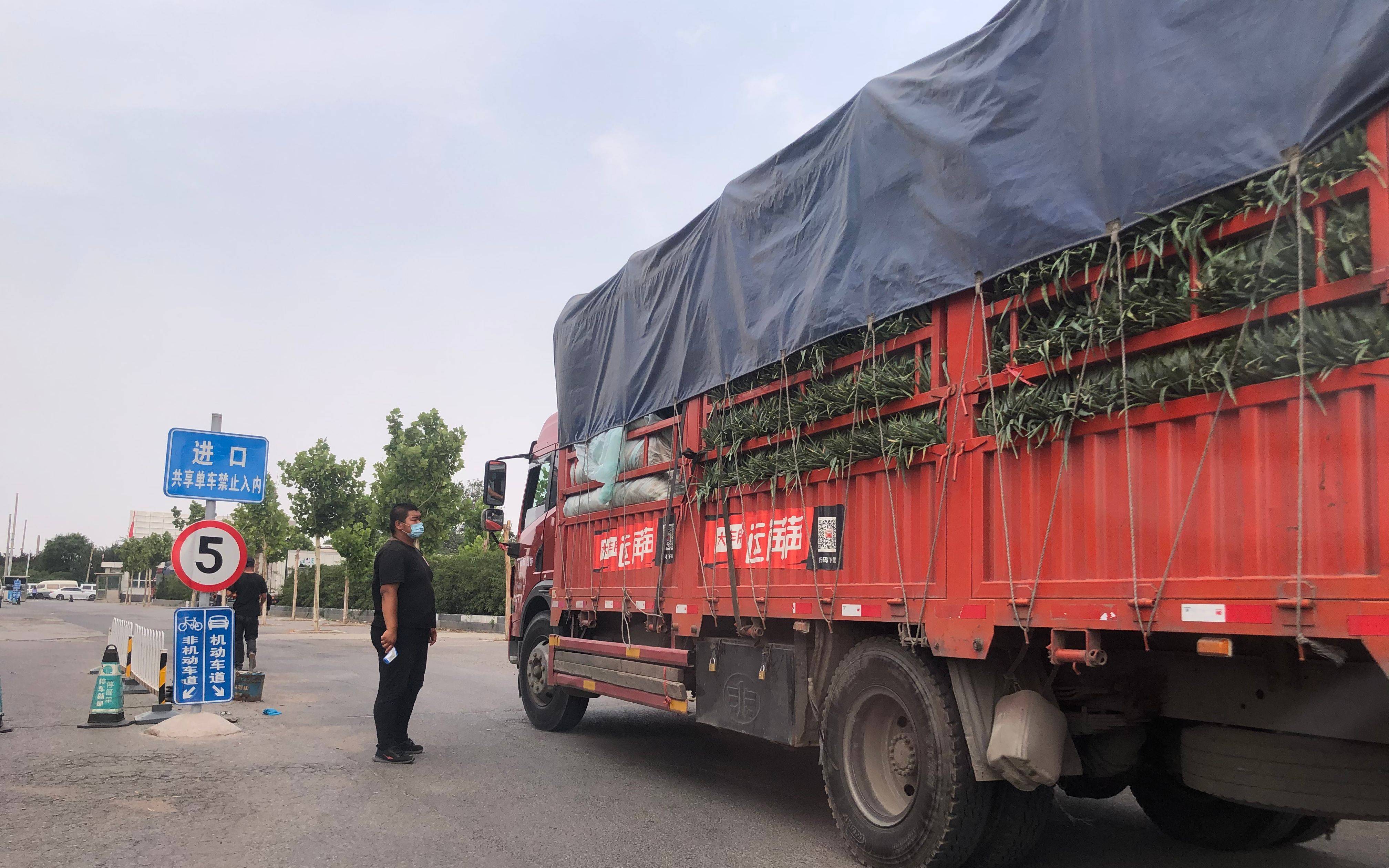 田杰雄|记者探访新发地临时蔬菜交易区 蔬菜大车已进场交易