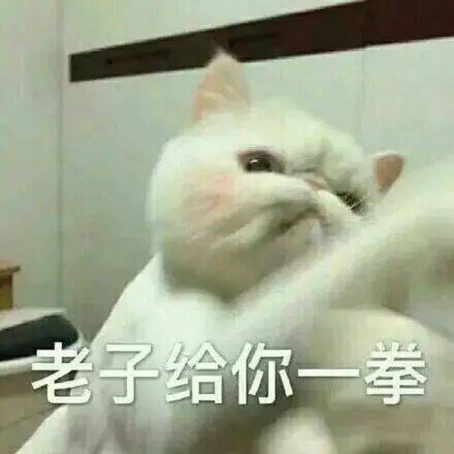 50412a0ed4b248f89ffda9cfbd5e6b35.jpeg