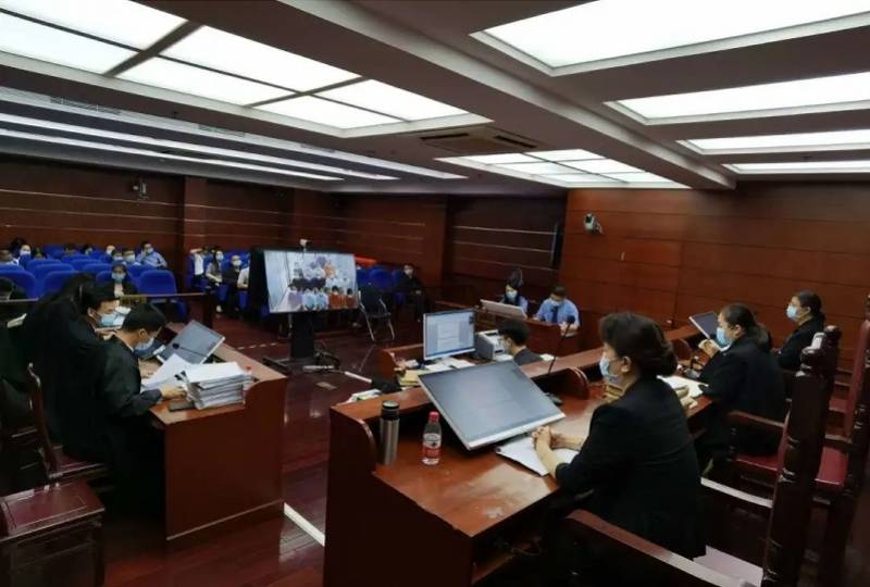 网络|?潜伏柬埔寨养猪场实施网络诈骗一年被抓，39名被告深圳受审