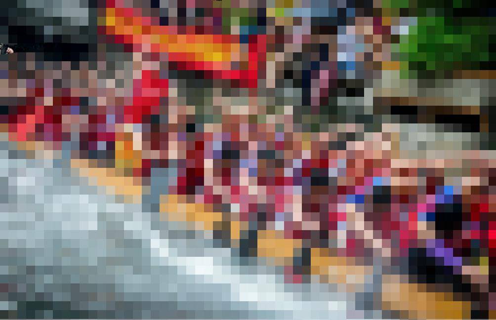 桂猜一成语_木猜一成语疯狂看图