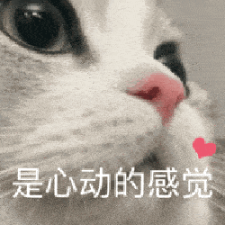 点上方 蓝字关注我,每天收藏无水印猫猫狗狗表情包～  每晚 21:00