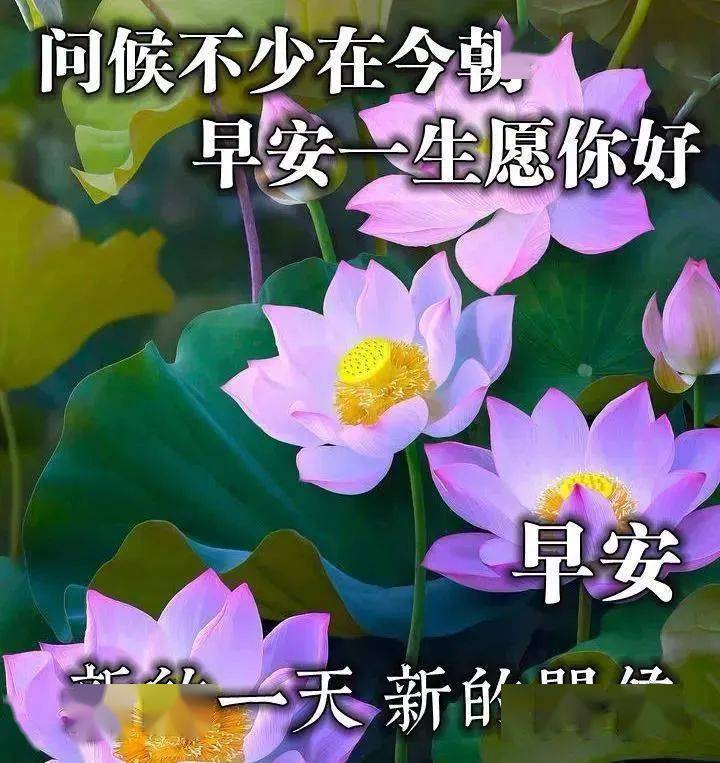 6月14日周日群发早上好问候祝福动态表情图片 6月最美