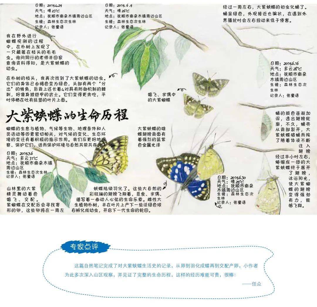 绘眼看自然 | 长隆杯第二届自然笔记大赛获奖作品展示