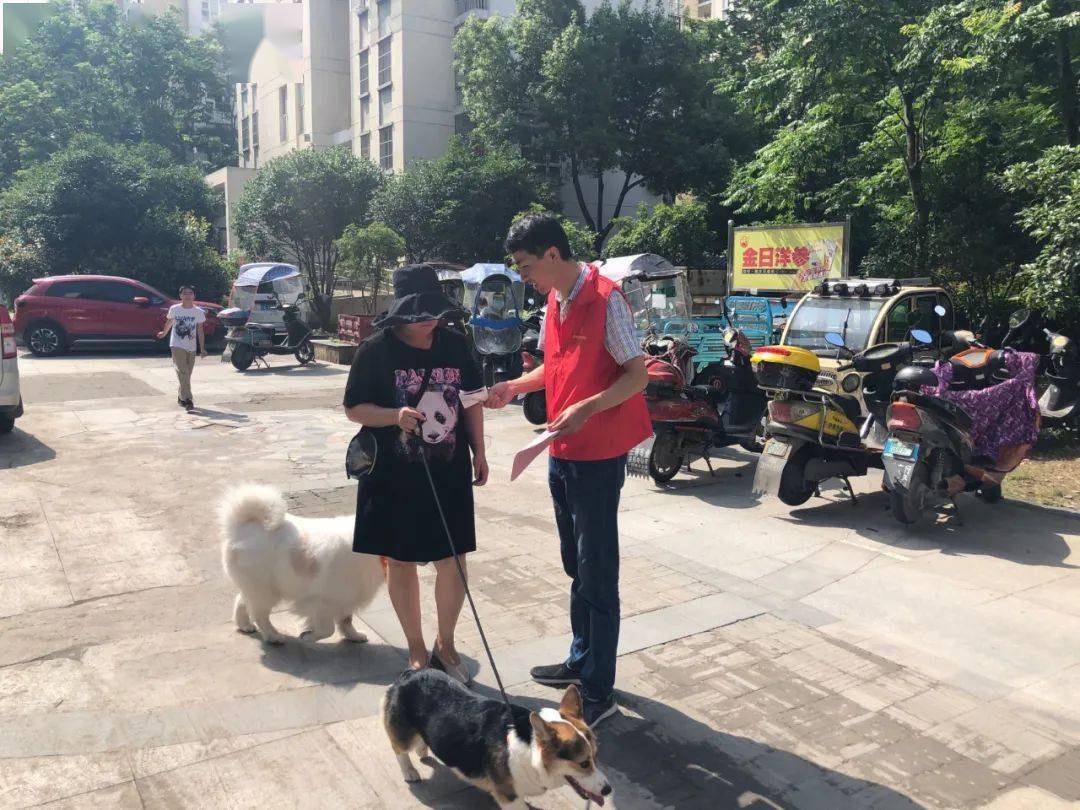 所有人小宠物也能展现大文明文明养犬缺你不可