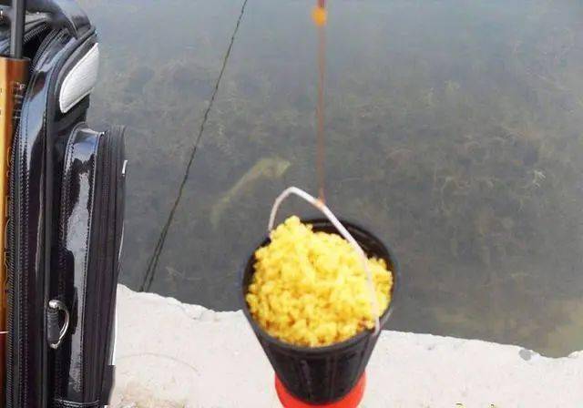 怎么样自制钓鱼打窝料 01943917025c4ba5a6b2b45c7c6e1b76.jpeg