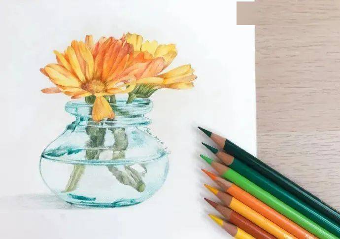 彩铅步骤 ——手绘玻璃瓶花