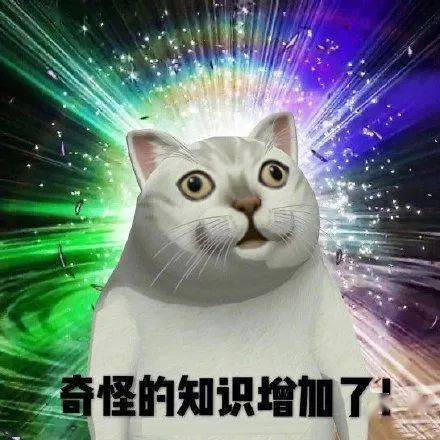 所以为了防止老年痴呆,保持大脑健康,必须时刻摄取新知识.