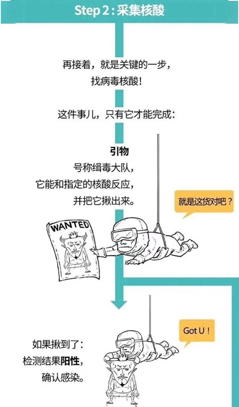 gdp阳性是什么意思_gdp什么意思