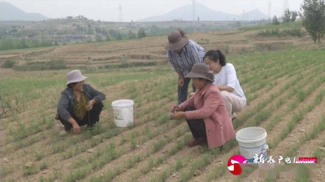 新泰经济总量_新泰张宸(3)
