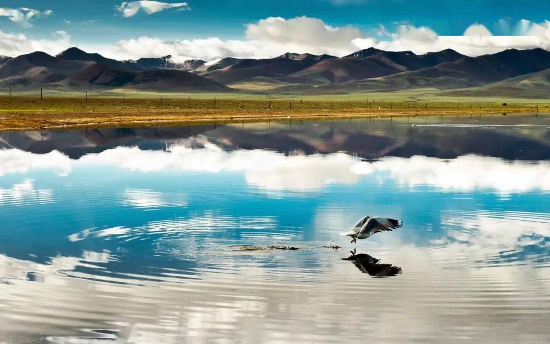 怎样才能开悟有智慧 6fb9311a28be438aab8b7e26af058153.jpeg