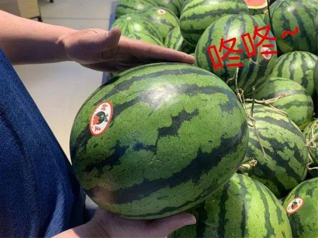 夏天挑西瓜,学会买